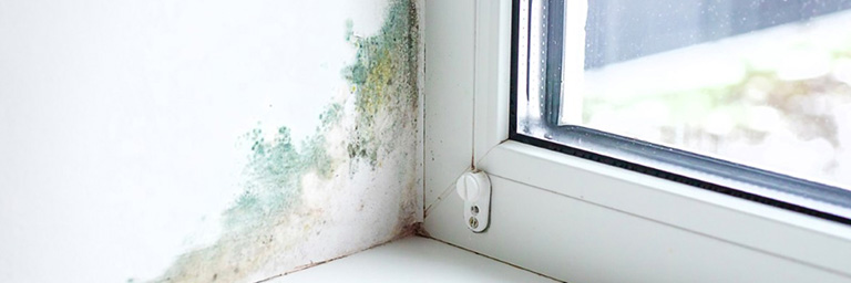 Combate à Humidade: Como proteger a sua casa